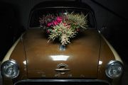 Die Kühlerhaube dieses alten Opel Rekord schmückt ein Bukett aus Callunen, Cyclamen, und Gaultherien. © Azerca