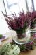 Heide eignet sich nicht nur als Blumenschmuck in der Mitte des Tisches, sondern man kann aus ihren Zweigen auch natürliche Untersetzer für Teller oder Vasen weben.